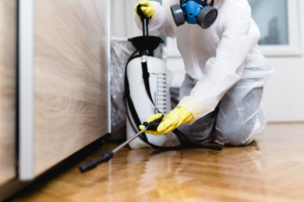 Best Best Pest Control Companies  in Port Morris, NJ
