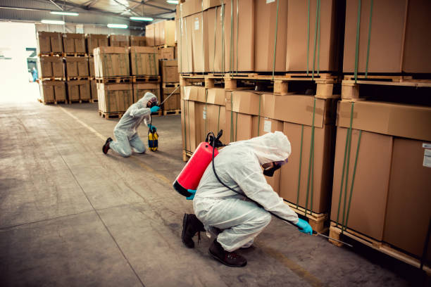 Best Emergency Pest Control  in Port Morris, NJ