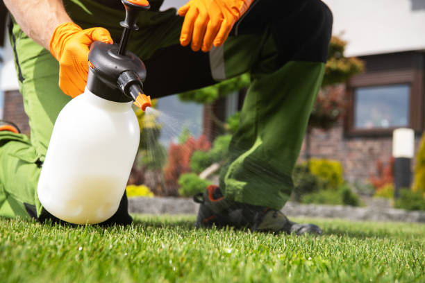 Best Pest Removal Services  in Port Morris, NJ