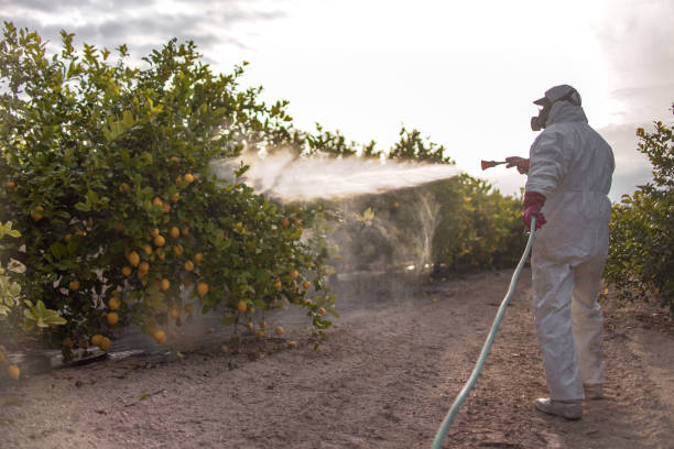 Best Best Pest Control Companies  in Port Morris, NJ