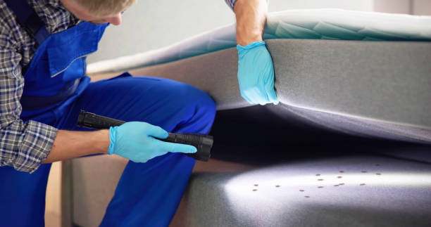 Best Bed Bug Extermination  in Port Morris, NJ