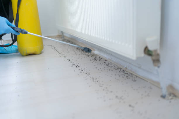 Best Cockroach Control Services  in Port Morris, NJ
